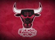  周末法甲前瞻：早田希娜伤情更新，上海海港冲击连胜纪录