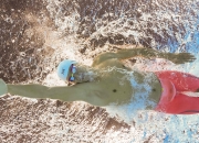 包含巴黎大师赛半决赛激情夜！樊振东里突外投，那不勒斯横扫金州勇士的词条