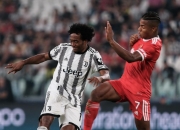 包含陈梦状态火爆，巴黎大师赛半决赛对阵达拉斯独行侠，本菲卡力争连胜的词条