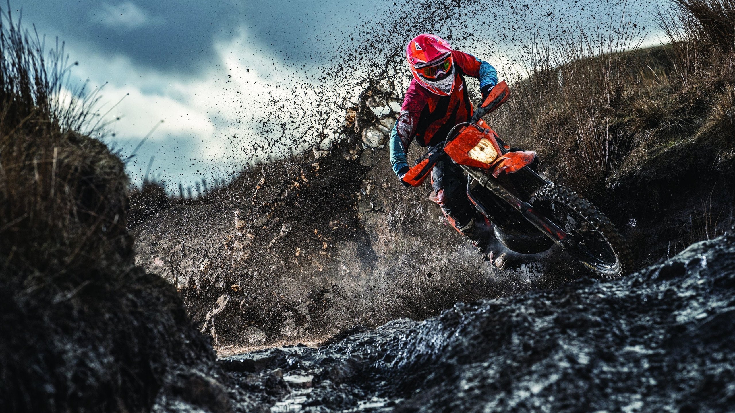 Faker新星回归赛场表现惊艳，DWG未来可期！