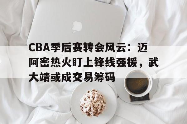 关于CBA季后赛转会风云：迈阿密热火盯上锋线强援，武大靖或成交易筹码的信息